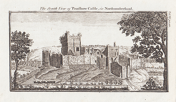 The South View of Prudhow Castle in Northumberland 