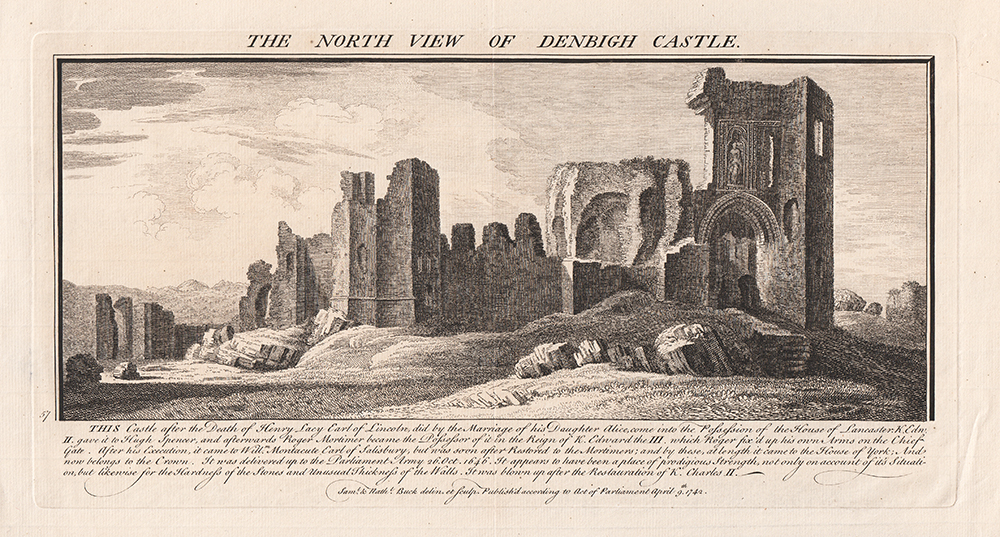 The North View of Denbigh Castle