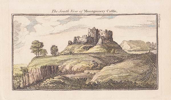 The South view of Montgomery Castle 
