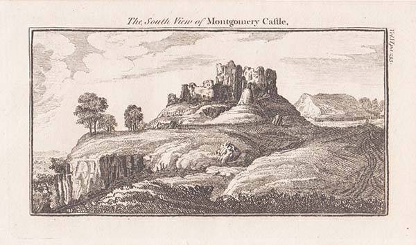 The South View of Montgomery Castle 