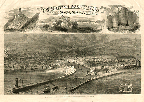 The British Association Swansea  August 1880