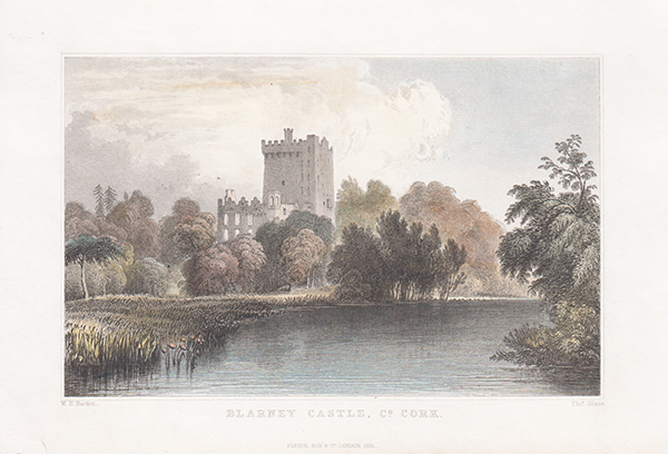 Blarney Castle Co Cork 