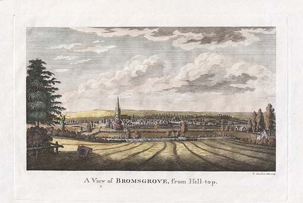 A View of Bromsgrove from Hill Top