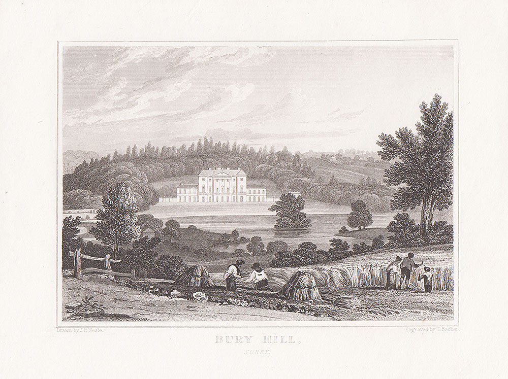 Bury Hill Surrey