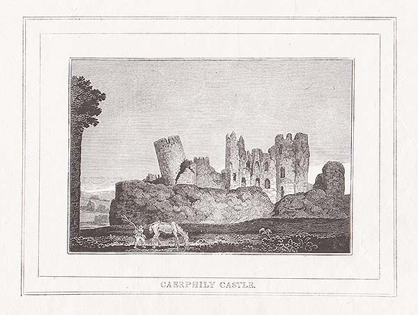 Caerphily Castle 