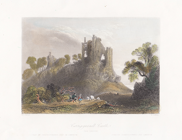 Carrigogunnell Castle  Near Limerick