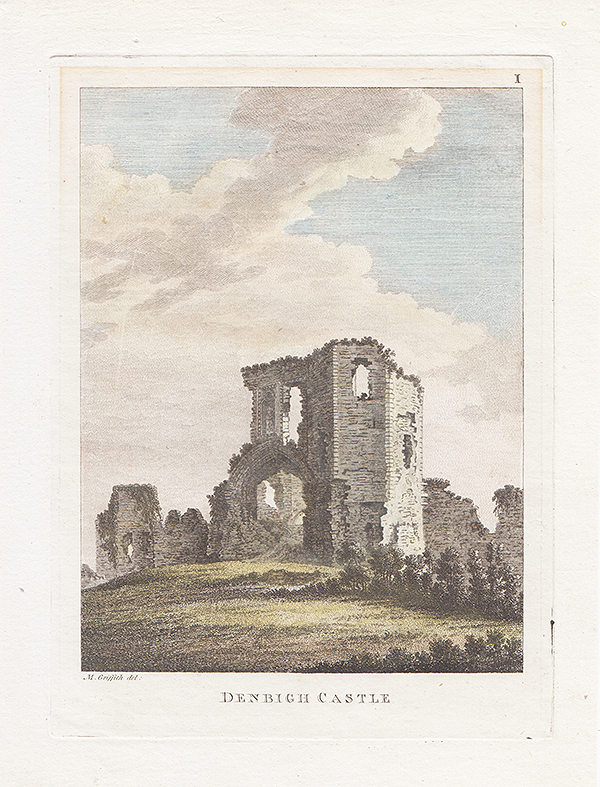 Denbigh Castle 