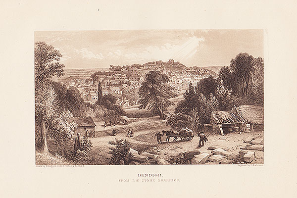 Denbigh from the Stone Quarries