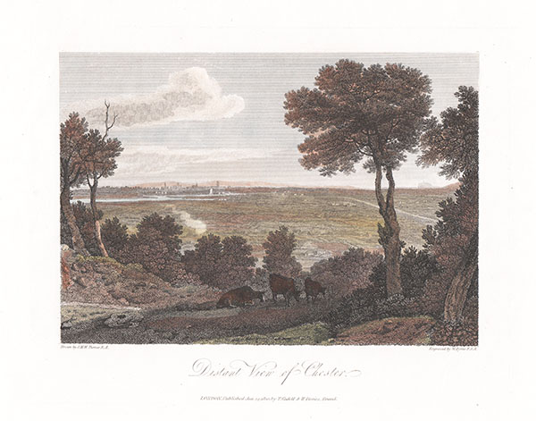 Distant view of Chester 