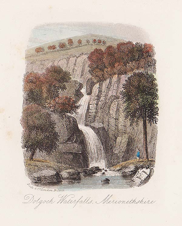 Dolgoch Waterfall Merionethshire 