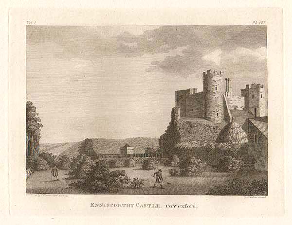 Enniscorthy Castle  Co Wexford