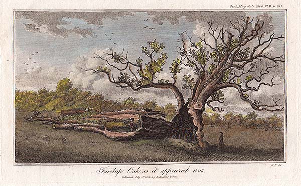 Fairlop Oak as it appeared 1805