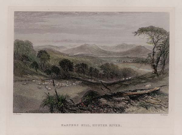 Harpers Hill, Hunter River.  N.S.W.