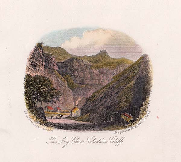 The Ivy Chair Cheddar Cliffs