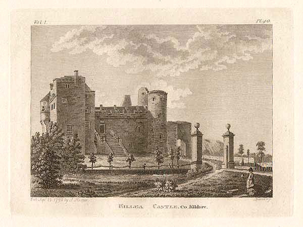 Killea Castle  Co Kildare