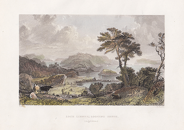 Loch Linnhe :  Looking South  Argyleshire