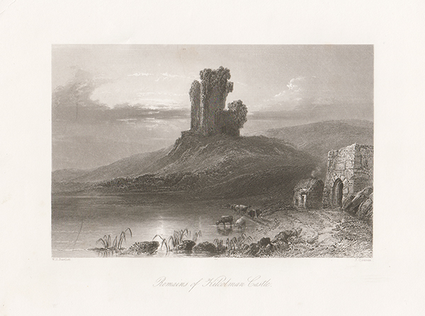 Remains of Kilcolman Castle