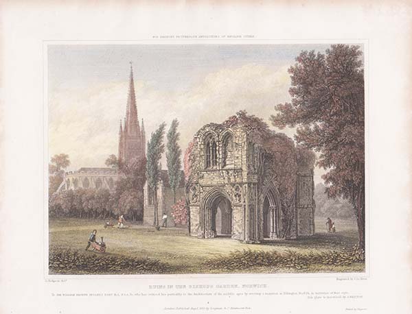 Ruins in the Bishops Garden Norwich