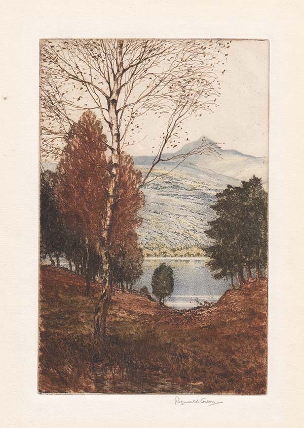 A Snowdonia Lake