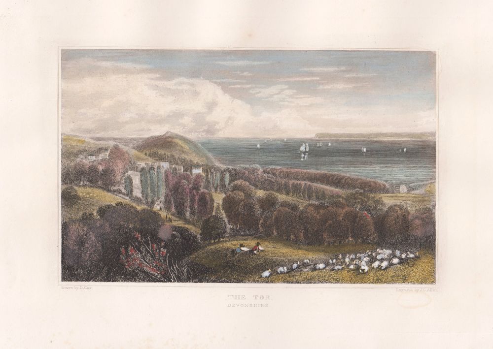 The Tor, Devonshire.