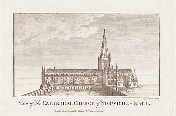 View of the Cathedral Church of Norwich in Norfolk 