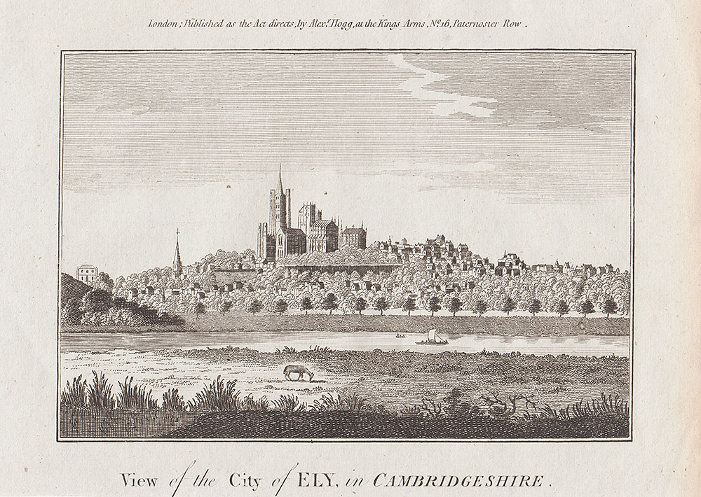 View of the City of Ely in Cambridgeshire 