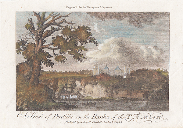 A View of Pentillie on the Banks of the Tamar