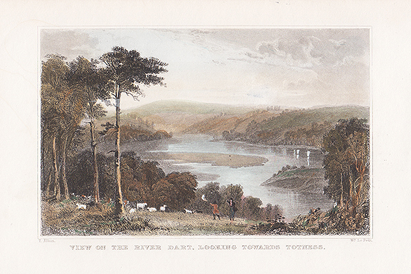 View on the River Dart looking towards Totness 