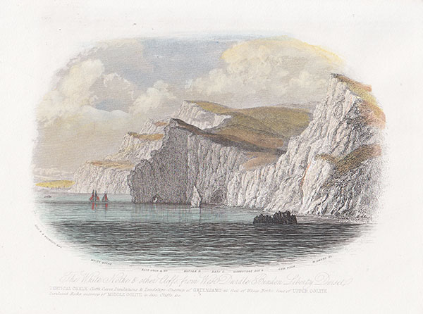 The White Nothe & other Cliffs from West Durdle Binden Liberty Dorset