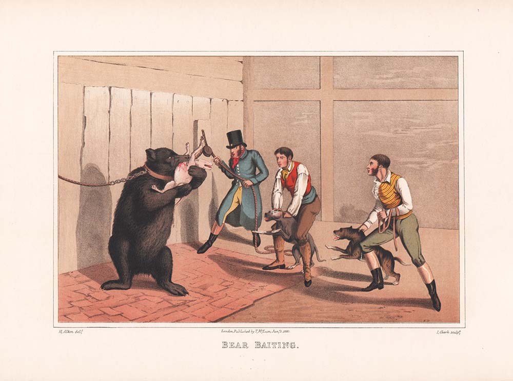 Bear Baiting  -  Henry Alken
